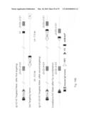 Antibody producing non-human mammals diagram and image