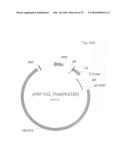 Antibody producing non-human mammals diagram and image