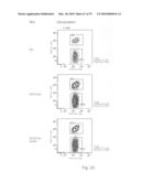 Antibody producing non-human mammals diagram and image