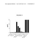 PYRIMIDINE NON-CLASSICAL CANNABINOID COMPOUNDS AND RELATED METHODS OF USE diagram and image