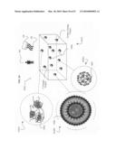 System for ex vivo modification of medicament release state diagram and image