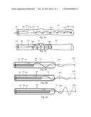 DEVICES AND SYSTEMS FOR DELIVERY OF THERAPEUTIC AGENTS TO BODY LUMENS diagram and image