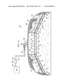 SYSTEMS AND METHODS FOR CONTROLLING INFLAMMATORY RESPONSE diagram and image