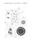 Multiple chamber ex vivo adjustable-release final dosage form diagram and image