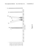 METHODS FOR RAPID IDENTIFICATION AND QUANTITATION OF NUCLEIC ACID VARIANTS diagram and image