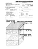 STABLE SUPPORTED Pd-ALLOY MEMBRANES diagram and image