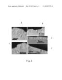 NANO-HOLE ARRAY IN CONDUCTOR ELEMENT FOR IMPROVING THE CONTACT CONDUCTANCE diagram and image