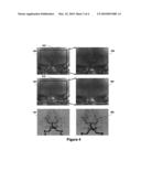 Imaging System for Compensating for Mask Frame Misalignment diagram and image