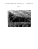 PROCESS FOR PRODUCING SINTERED POROUS MATERIALS diagram and image