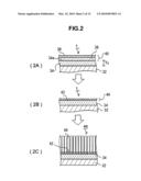 Catalyst Body For Production of Brush-Shaped Carbon Nanostructure, Process for Producing Catalyst Body, Brush-Shaped Carbon Nanostructure, and Process for Producing the Same diagram and image