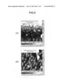 Catalyst Body For Production of Brush-Shaped Carbon Nanostructure, Process for Producing Catalyst Body, Brush-Shaped Carbon Nanostructure, and Process for Producing the Same diagram and image