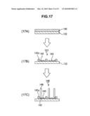 Catalyst Body For Production of Brush-Shaped Carbon Nanostructure, Process for Producing Catalyst Body, Brush-Shaped Carbon Nanostructure, and Process for Producing the Same diagram and image