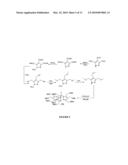 Technetium-99m (I) Tricarbonyl Complexes with Tridentate Chelators for Myocardium Imaging diagram and image