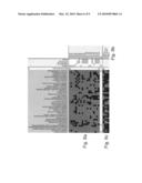 METHODS AND KITS FOR PREDICTING PROGNOSIS OF MULTIPLE SCLEROSIS diagram and image