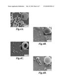 METHOD OF MAKING POLYMER HOLLOW PARTICLES WITH CONTROLLABLE HOLES IN THEIR SURFACES diagram and image