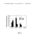 POPLAR TRANSCRIPTION FACTORS diagram and image