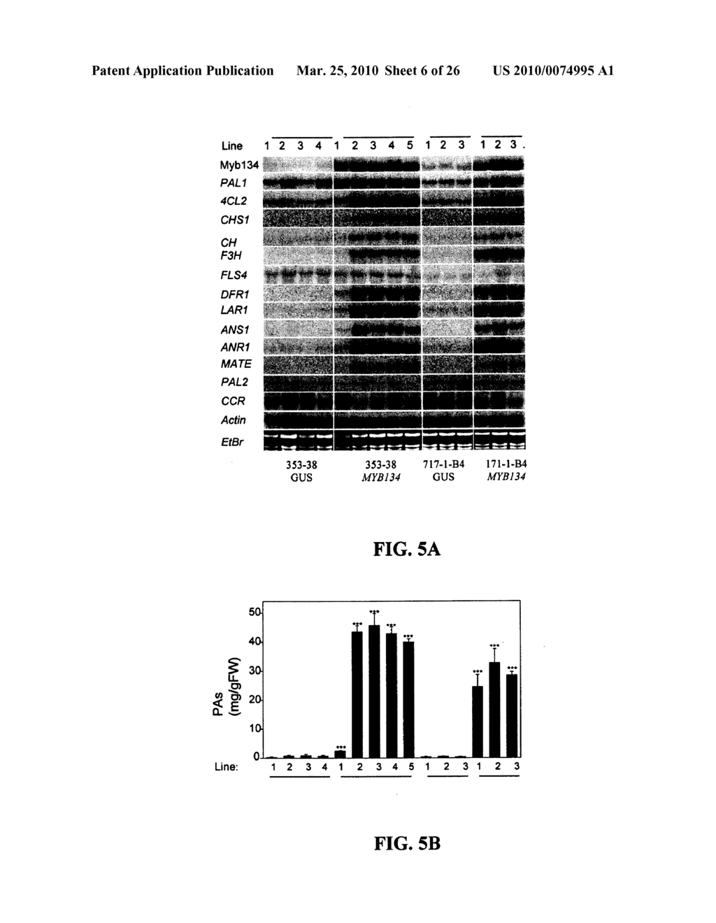 POPLAR TRANSCRIPTION FACTORS - diagram, schematic, and image 07