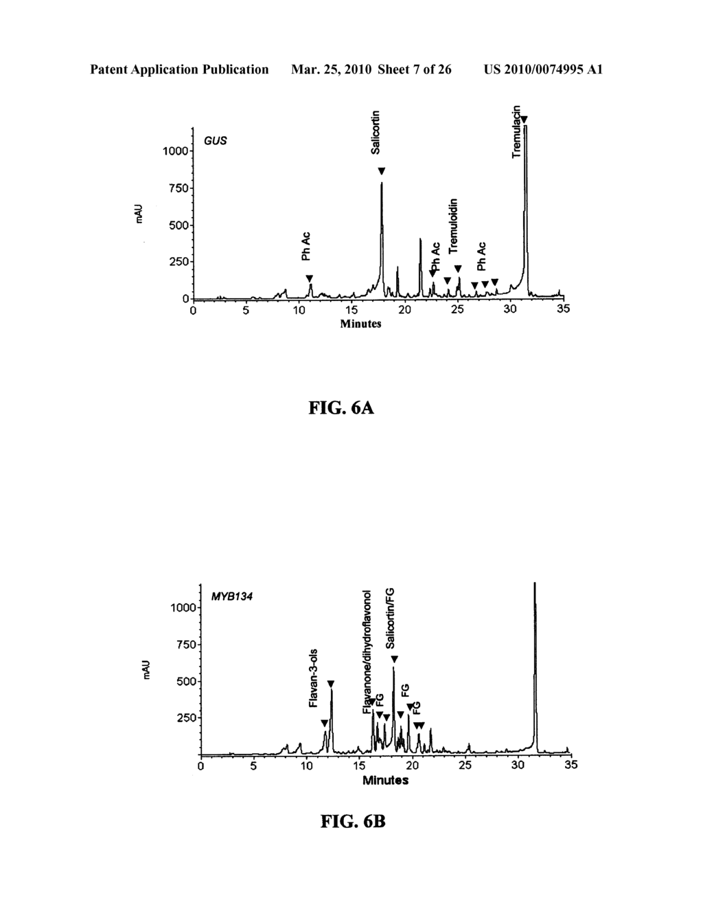 POPLAR TRANSCRIPTION FACTORS - diagram, schematic, and image 08