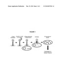 Methods for Generation of Reporter Phages and Immobilization of Active Bacteriophages on a Polymer Surface diagram and image