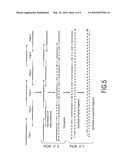 METHOD FOR DIAGNOSIS OF AND FOLLOWING A BACTERIAL VAGINOSIS BY MOLECULAR QUANTIFICATION diagram and image