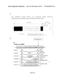 METHOD OF DETERMINING THE RISK OF SCOLIOSIS diagram and image