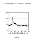 NOVEL PEPTIDES diagram and image