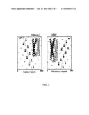 TETRAMERIZING POLYPEPTIDES AND METHODS OF USE diagram and image