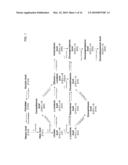 DELTA-9 ELONGASES AND THEIR USE IN MAKING POLYUNSATURATED FATTY ACIDS diagram and image