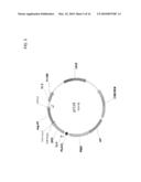 DELTA-9 ELONGASES AND THEIR USE IN MAKING POLYUNSATURATED FATTY ACIDS diagram and image