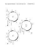 DELTA-9 ELONGASES AND THEIR USE IN MAKING POLYUNSATURATED FATTY ACIDS diagram and image