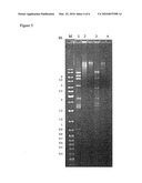 Bacteriophage Preparations and Method of Use Thereof diagram and image