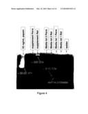 METHOD FOR REDUCING PROTEASE ACTIVITY IN PLANT HYDROLYSATE diagram and image