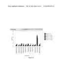 METHOD FOR REDUCING PROTEASE ACTIVITY IN PLANT HYDROLYSATE diagram and image