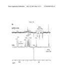 Novel Gene Delivery Vectors for Human Mesenchymal Stem Cells diagram and image