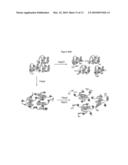 Novel Gene Delivery Vectors for Human Mesenchymal Stem Cells diagram and image