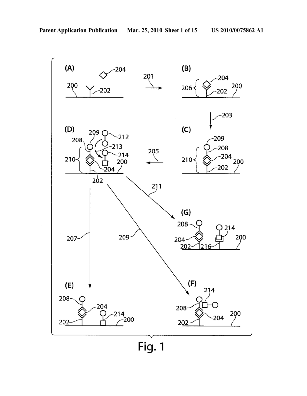 HIGH SENSITIVITY DETERMINATION OF THE CONCENTRATION OF ANALYTE MOLECULES OR PARTICLES IN A FLUID SAMPLE - diagram, schematic, and image 02