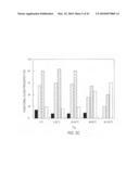 siRNA targeting TATA box binding protein (TBP)-associated factor (TAF1) diagram and image