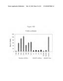 siRNA targeting TATA box binding protein (TBP)-associated factor (TAF1) diagram and image