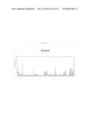 siRNA targeting TATA box binding protein (TBP)-associated factor (TAF1) diagram and image