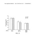 siRNA targeting TATA box binding protein (TBP)-associated factor (TAF1) diagram and image