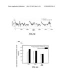 METHOD FOR ESTIMATING CHANGES OF CARDIOVASCULAR INDICES USING PERIPHEAL ARTERIAL BLOOD PRESSURE WAVEFORM diagram and image