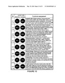 Diagnosis of Metastatic Melanoma and Monitoring Indicators of Immunosuppression Through Blood Leukocyte Microarray Analysis diagram and image