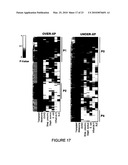 Diagnosis of Metastatic Melanoma and Monitoring Indicators of Immunosuppression Through Blood Leukocyte Microarray Analysis diagram and image