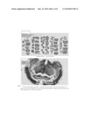 System for Manipulation, Modification and Editing of Images Via Remote Device diagram and image