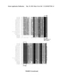 PLANTS HAVING ENHANCED YIELD-RELATED TRAITS AND A METHOD FOR MAKING THE SAME diagram and image