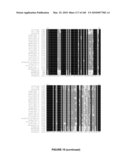 PLANTS HAVING ENHANCED YIELD-RELATED TRAITS AND A METHOD FOR MAKING THE SAME diagram and image