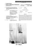 IDENTIFICATION, CHARACTERIZATION, AND APPLICATION OF THAUERA SP. AL9:8 USEFUL IN MICROBIALLY ENHANCED OIL RECOVERY diagram and image