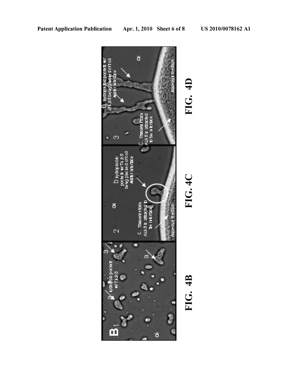 IDENTIFICATION, CHARACTERIZATION, AND APPLICATION OF THAUERA SP. AL9:8 USEFUL IN MICROBIALLY ENHANCED OIL RECOVERY - diagram, schematic, and image 07
