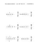 LIVING-HINGE CONVEYOR BELT diagram and image