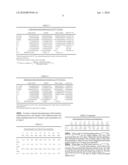 Robust Stereo Calibration System and Method for Accurate Digital Image Correlation Measurements diagram and image